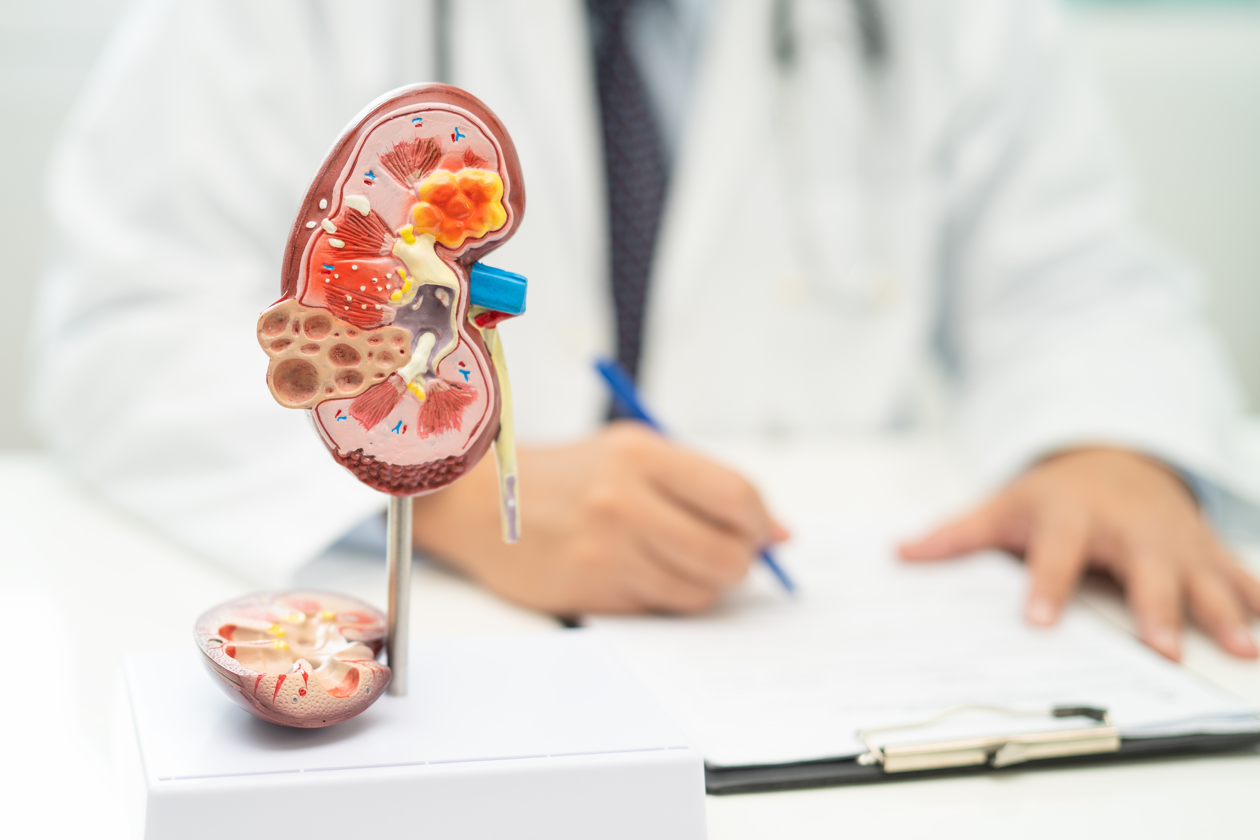 Cardiovascular
